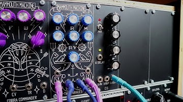 Mammouth Machine Twin whales Eurorack