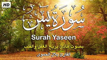 سورة يس كامله تلاوه تريح القلب ❤ والعقل || القارئ بلال الحمويSurah Yaseen