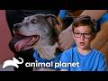 Man's Best Friend is a BOY'S Best FRIEND! | Pit Bulls and Parolees | Animal Planet