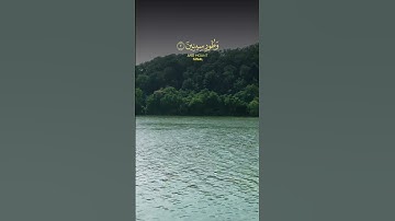 سورة التين#القرآن_الكريم#مسلم