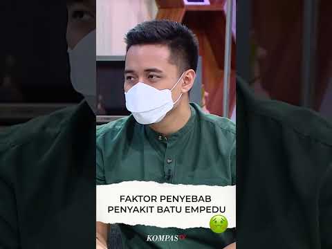 Video: Apa Itu Pohon Buah Batu – Fakta Buah Batu Dan Info Tumbuh