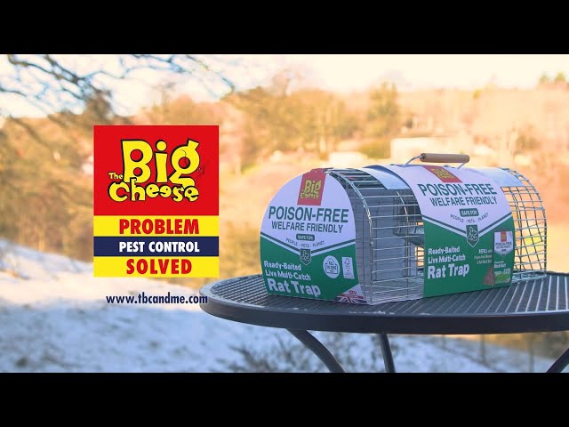 The Big Cheese - Ultra Power Live Multi-Catch Mouse Trap – SPR Centre