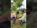 বড় ভাইে যখন প্রেমের কথা জানাই #vairalshort #comedy #funny #vairal #fun