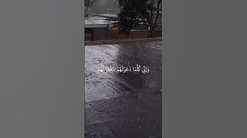 تلاوة عطرة من سورة نوح بصوت القارئ ماهر المعيقلي🎧🤍