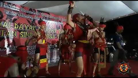 Atraksi belelet ngeri banget  pasukan merah bangkule rajan