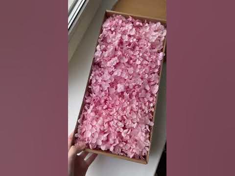 Стабілізована гортензія (рожева) коробка #декор - YouTube