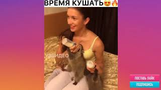 ПРИКОЛЫ 2019 апрель смотреть ржаку и смеяться до слез от угара приколов ПРИКОЛЮХА один словом ПРИКОЛЫ 2019 апрель смотреть ржаку и смеяться до слез от угара приколов ПРИКОЛЮХА один словом