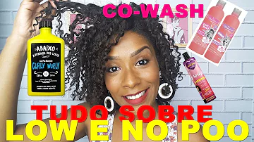 O que quer dizer Low-poo No Poo e Co-wash'?