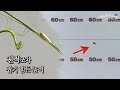 제일 높이 뛰는 곤충은 거품벌레?! 사람으로 치면 63빌딩 높이까지 ㄷㄷ;; l KBS 스펀지 060624 방송