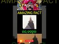 Mystery Of Jagannath  Temple,Puri। ପୁରୀ ଜଗନ୍ନାଥ ମନ୍ଦିରର ରହସ୍ୟ। #puri #jagannath #mystery #trending