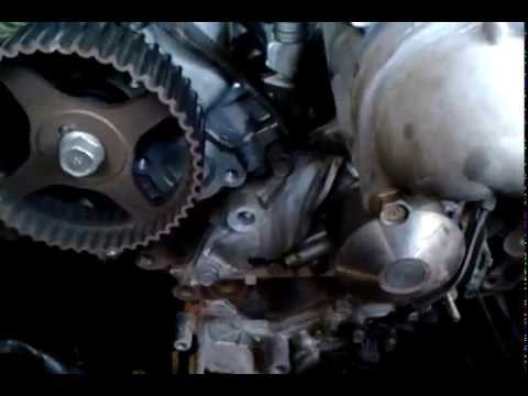 La gasolina 98 para los floreros