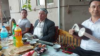 картинка: Жой туйи