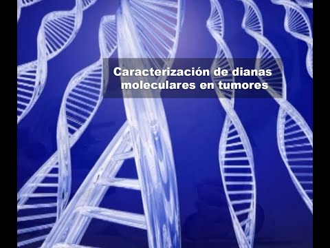 Vídeo: Implicaciones De La No Unicidad En La Desconvolución Filogenética De Muestras De ADN En Masa De Tumores