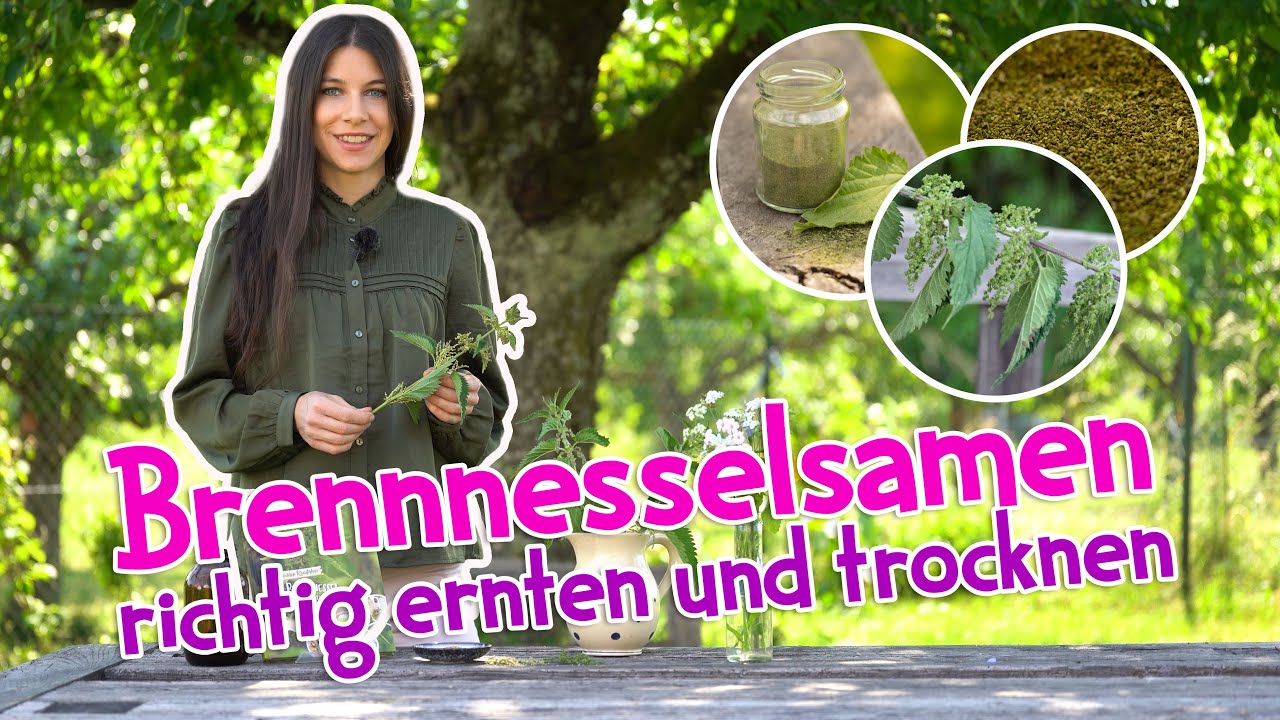 dünger mit viel stickstoff und wenig phosphor Rasendünger 5 kg main image 0