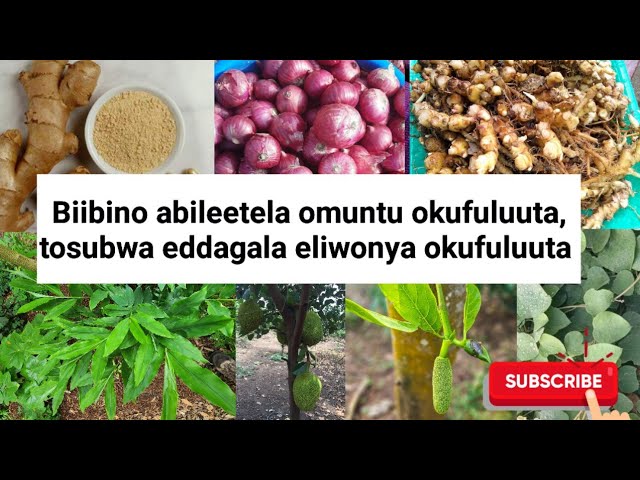 Fohishalarning teshiklaridagi eng katta narsalar