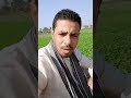 خليك هنا خليك بلاش تسافر فلانكحي