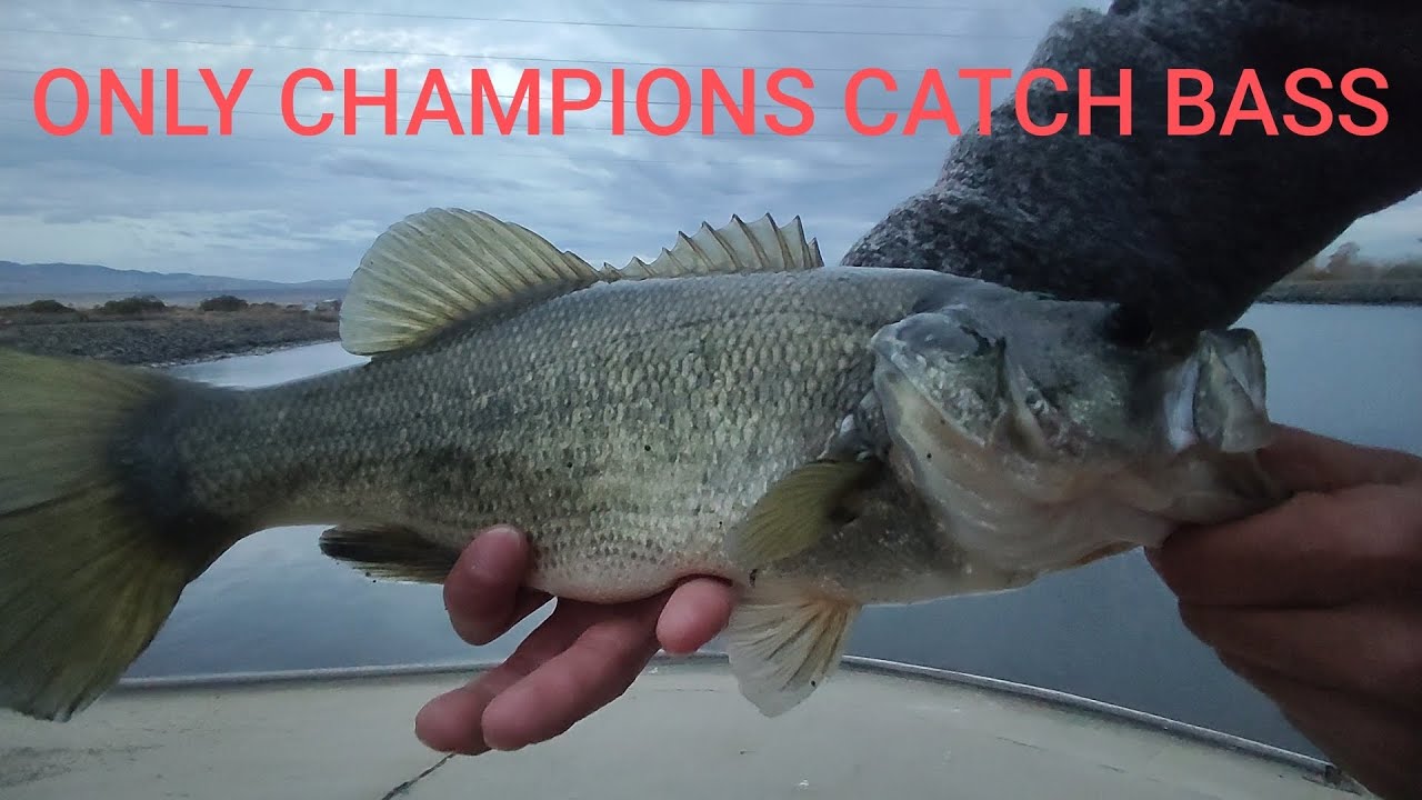 HANG UP THE GLOVES IN DECEMBER BASS FISHING O'NIELL FOREBAY
