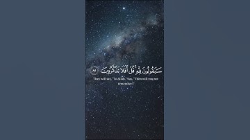 سورة المؤمنون القارئ الشيخ ياسر الدوسري | القرآن الكريم