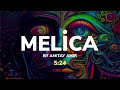 Melica  by amitay amir