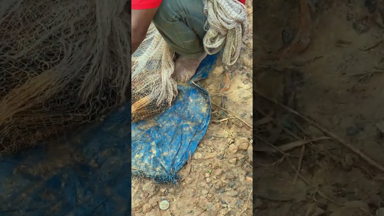 Fishing with the net in rural life of Asian people 