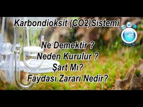 Video: Karbondioksit tankı ne için kullanılır?