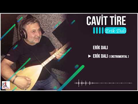 Erik Dalı / Enstrumental Cavit Tire - (Official Audio Video)