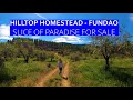 HILLTOP FARM - OLIVE &amp; CHERRY HOMESTEAD - CENTRAL PORTUGAL PROPERTY FOR SALE