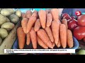 Цена на морковь бьет все рекорды