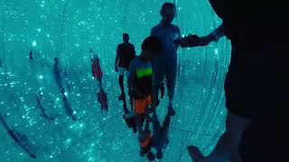 Japan Oct 2024 - part 2 (Team Labs Planet)