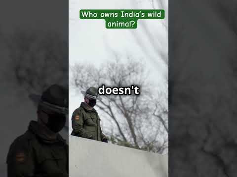 Who owns India’s
