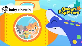 Making Friends With A Manta Ray More Ocean Explorers Baby Einstein Learning Show For Toddlers