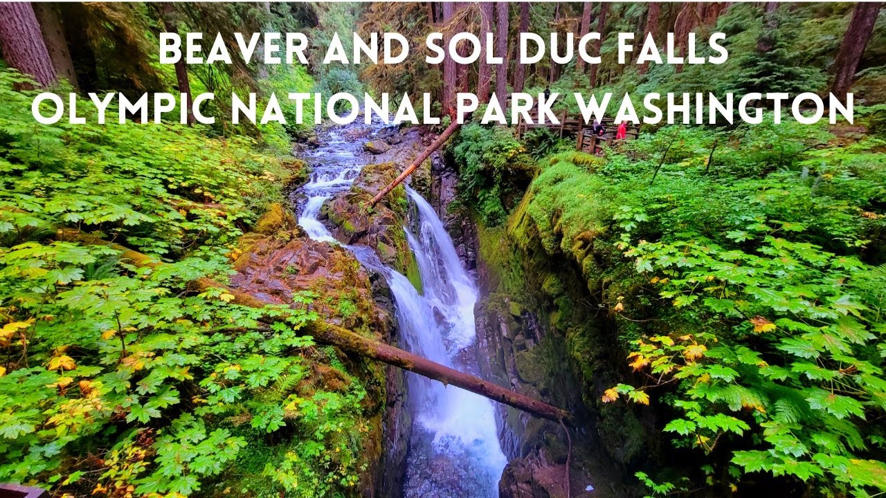 BEAVER AND SOL DUC FALLS OLYMPIC NATIONAL PARK WASHINGTON