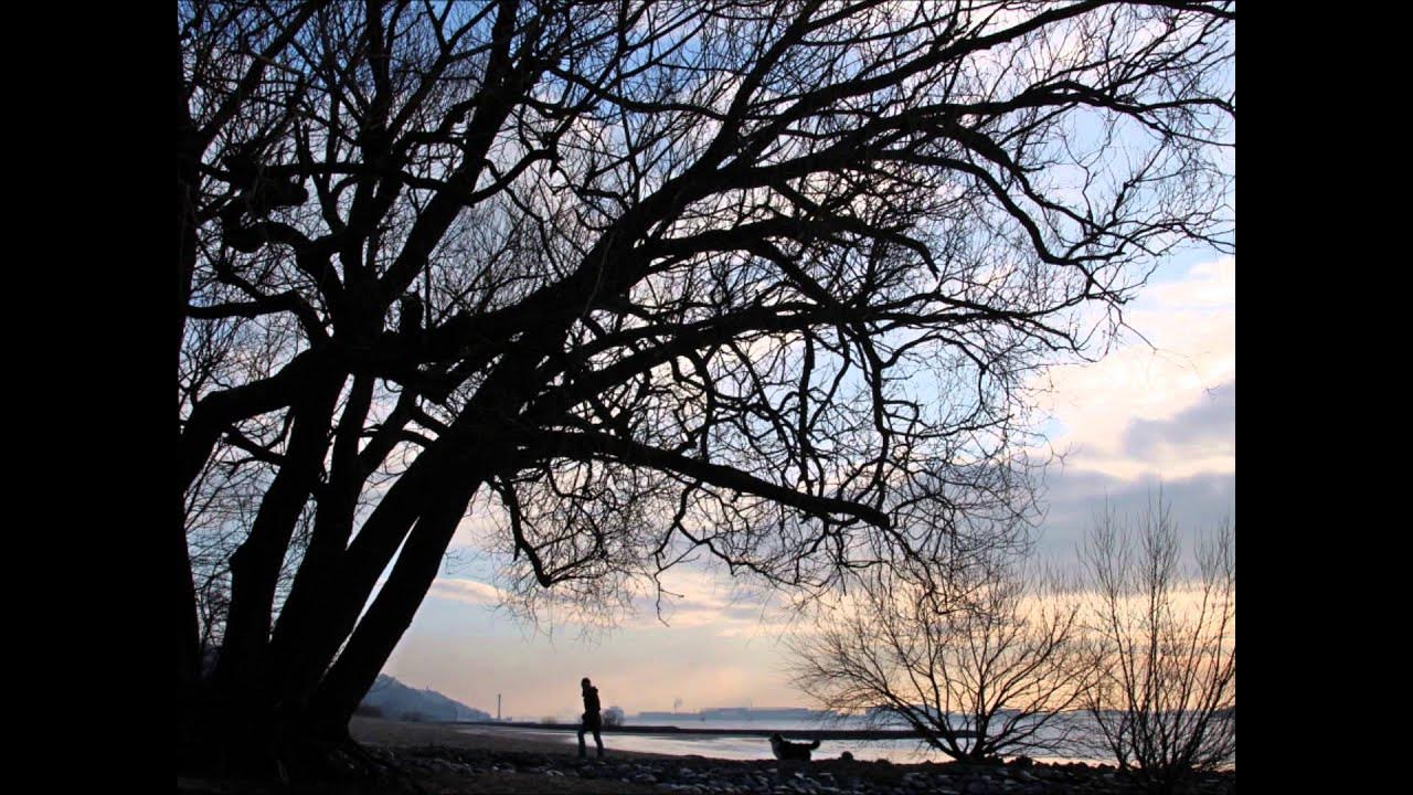 Über den eigenen Schatten springen... YouTube