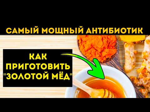 Самый точный рецепт "Золотого мёда" | Сила куркумы с мёдом! #Shorts