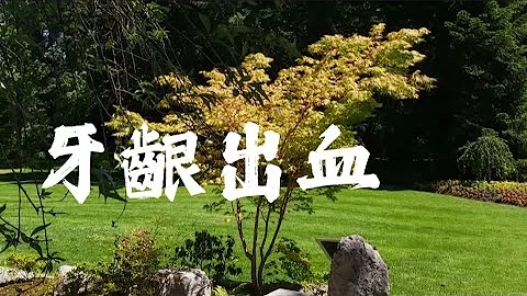 D309  治療牙齦出血最有效方法 - 天天要聞