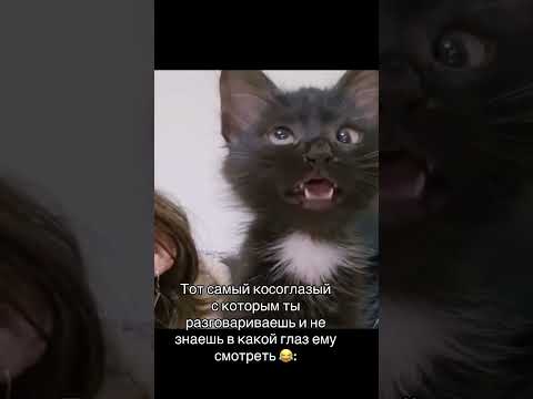 Тот самый косоглазый))