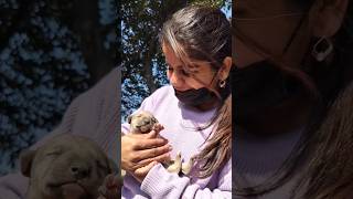 From Stray To Star Watch Him Shine