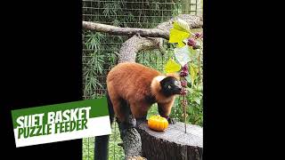 Suet Basket Puzzle Feeder Enrichment