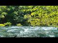 Silent River Flow ASMR 🌊 Pure Water Sounds – No Rain No Music for Sleep &amp; Focus