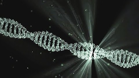 The Deepening Mystery of the Last Universal Common Ancestor of Life