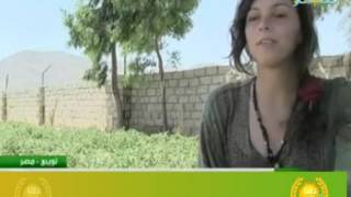 كيفية تطوير الزراعة العضوية في مصر