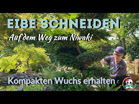 NIWAKI - Eibe