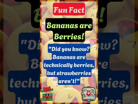 Mind-Blowing Facts, Jokes