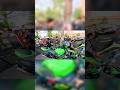 Zx10r ke exhaust sound ka crazy reaction😱😱🥶#superbike #kawasaki10r #zx10r #motovlog #rider 