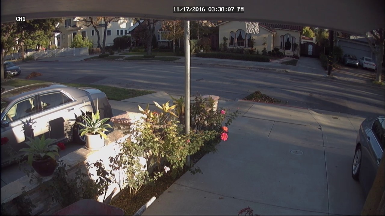 neighbor vandalized yard waste5 YouTube