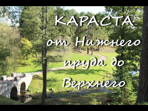 Ораниенбаум. Караста от Петровского моста до водопада. Часть 3. Руинный мост