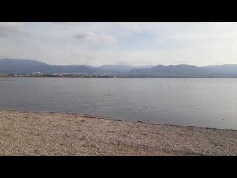Gülden İçimize Mi Atalım Nakarat