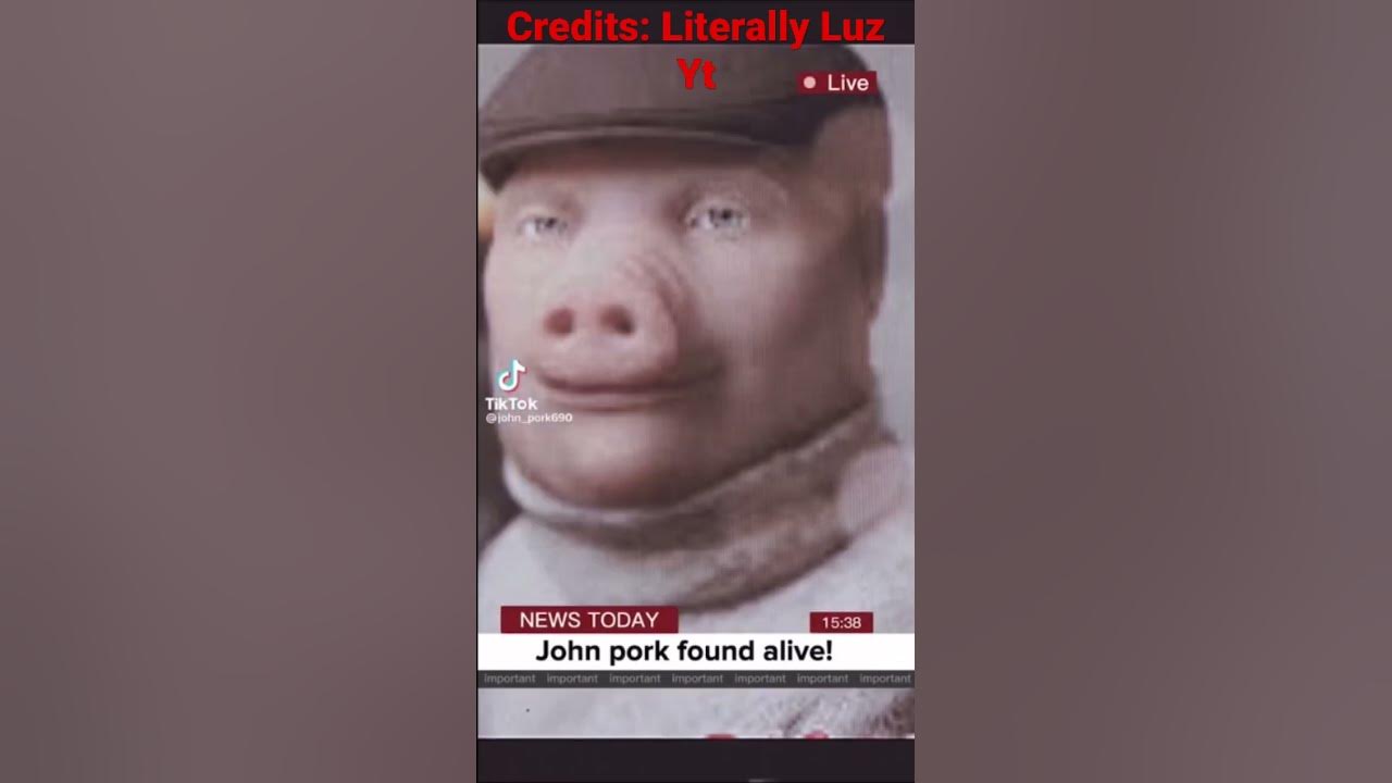 John Pork Found Alive Johnpork happynews YouTube