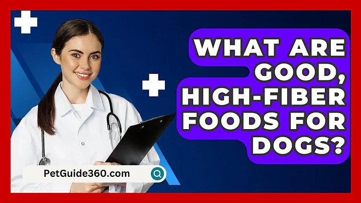What Are Good, High-fiber Foods For Dogs? - PetGuide360.com