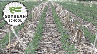 Soybean School: Wrestling residue in no till systems